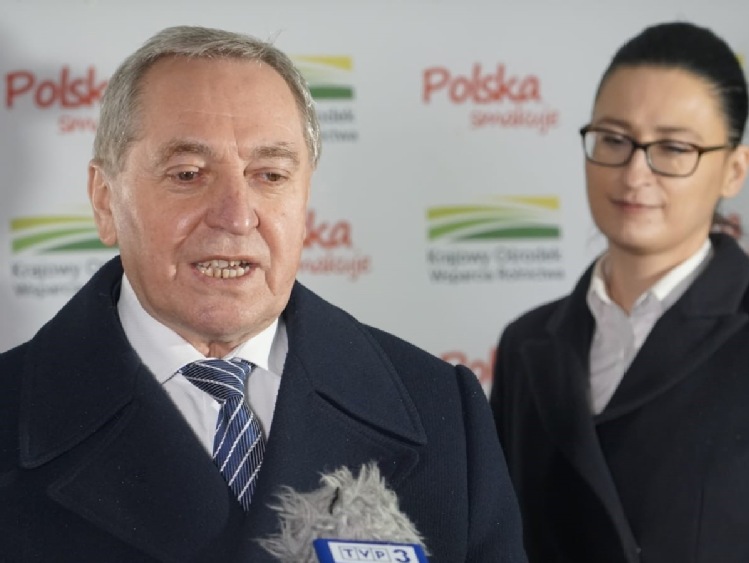 MRiRW: Chcemy wskrzesić stadninę koni w Białym Borze